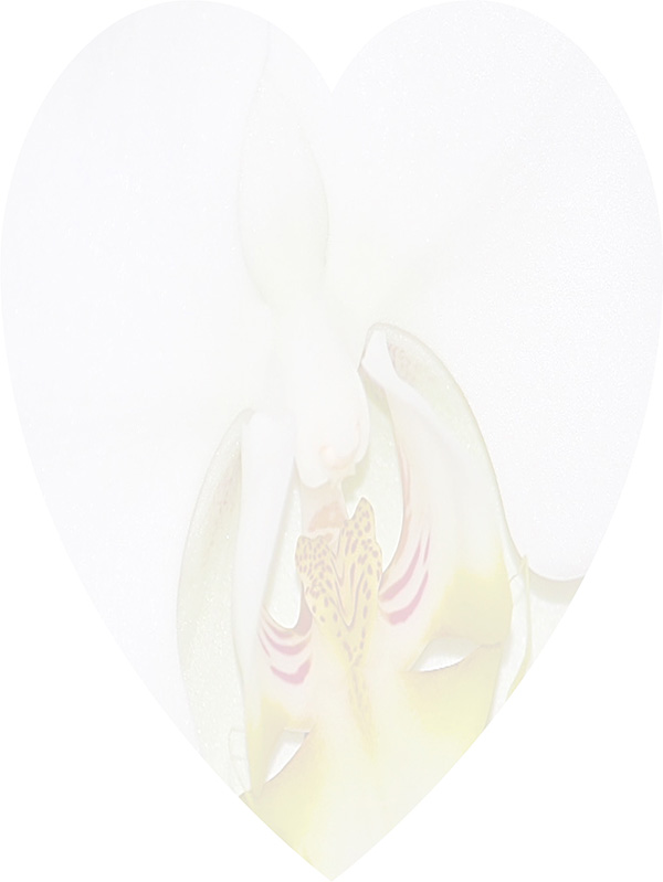 Law of Attraction Card - Image 3