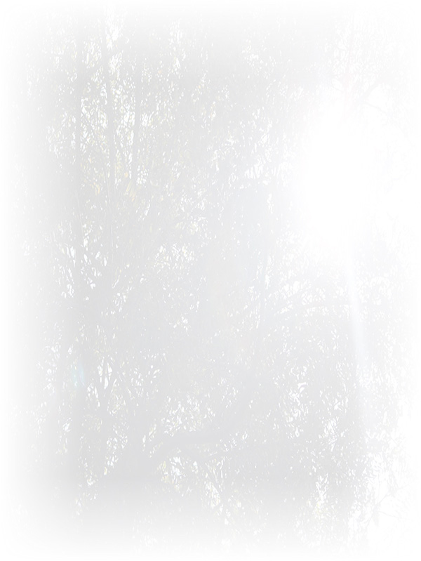 Law of Attraction Card - Image 3