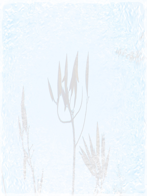 Law of Attraction Card - Image 3