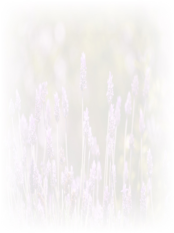 Law of Attraction Card - Image 3