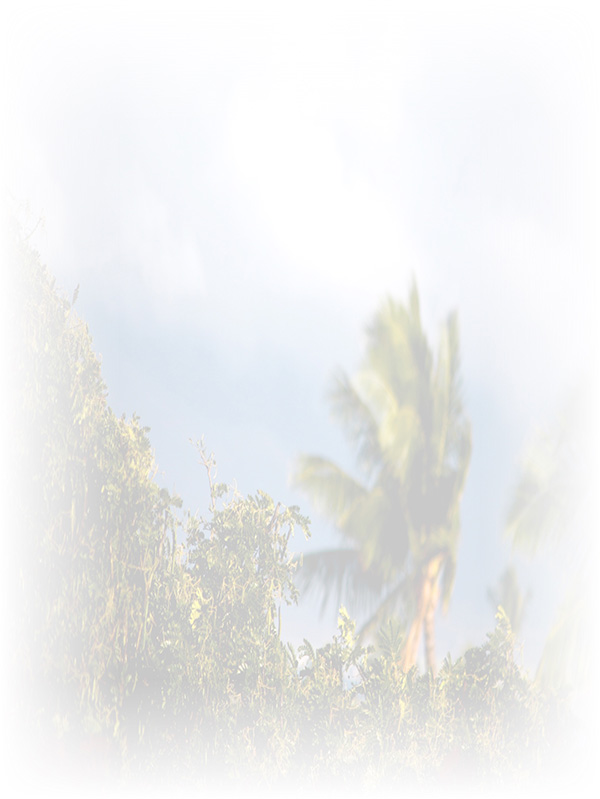 Law of Attraction Card - Image 3