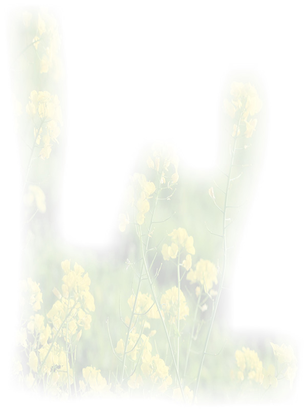 Law of Attraction Card - Image 3