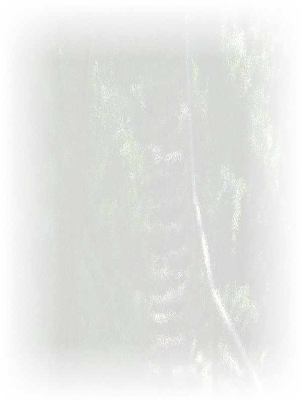 Law of Attraction Card - Image 3