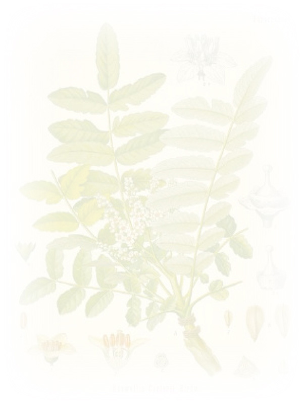 Law of Attraction Card - Image 3