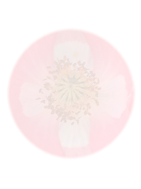 Law of Attraction Card - Image 3