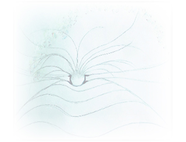 Law of Attraction Card - Image 3
