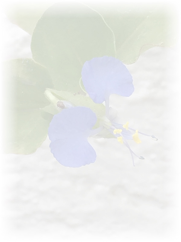 Law of Attraction Card - Image 3