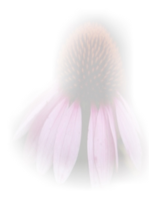Law of Attraction Card - Image 3