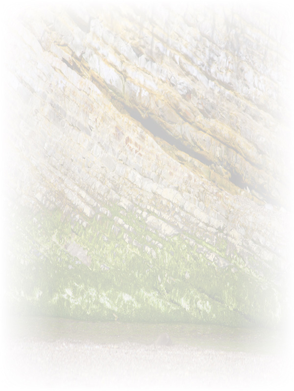 Law of Attraction Card - Image 3