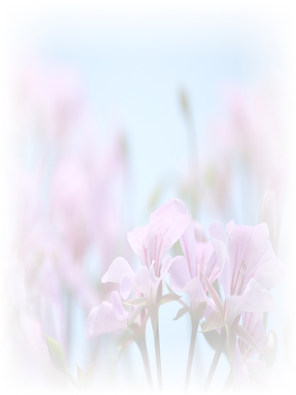 Law of Attraction Card - Image 3