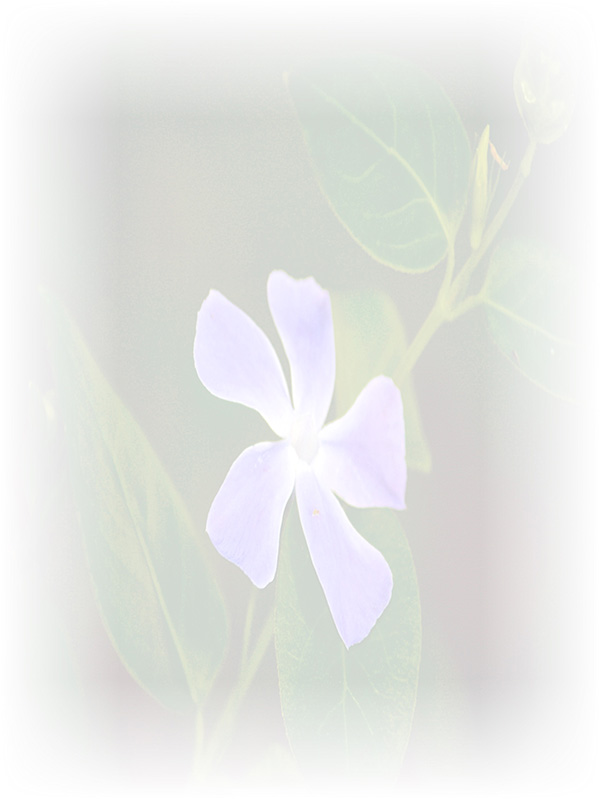 Law of Attraction Card - Image 3