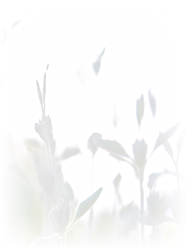 Law of Attraction Card - Image 3