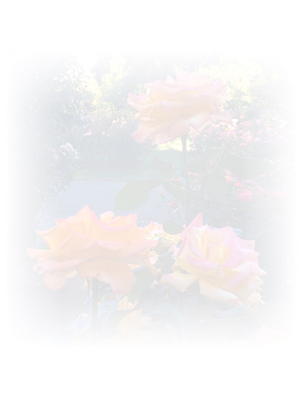 Law of Attraction Card - Image 3