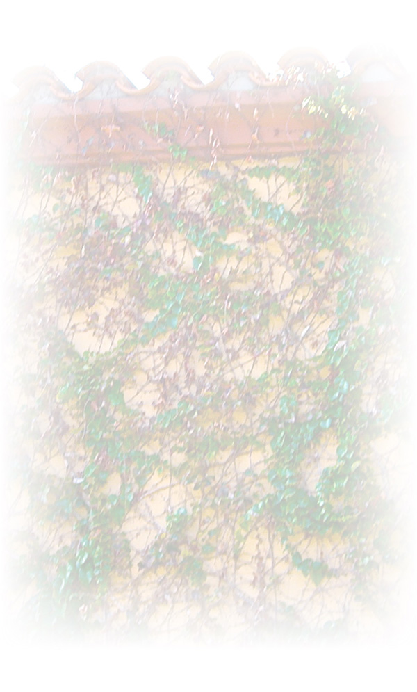 Law of Attraction Card - Image 3