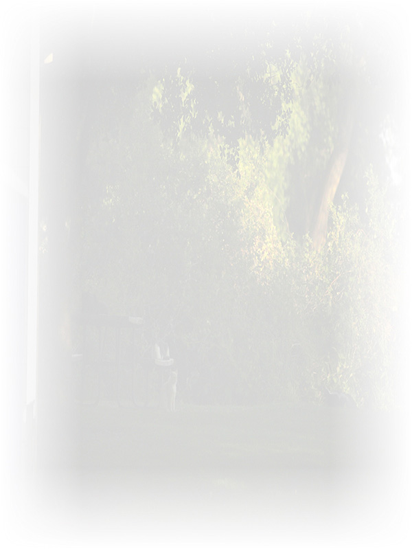 Law of Attraction Card - Image 3