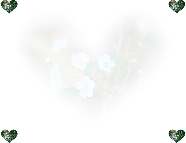 Law of Attraction Card - Image 3