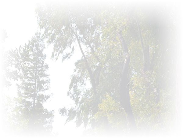 Law of Attraction Card - Image 3