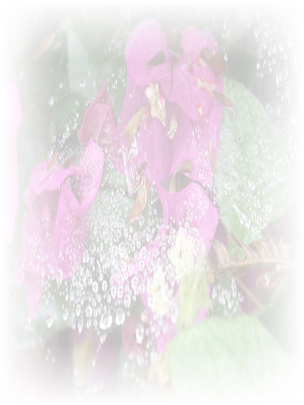 Law of Attraction Card - Image 3