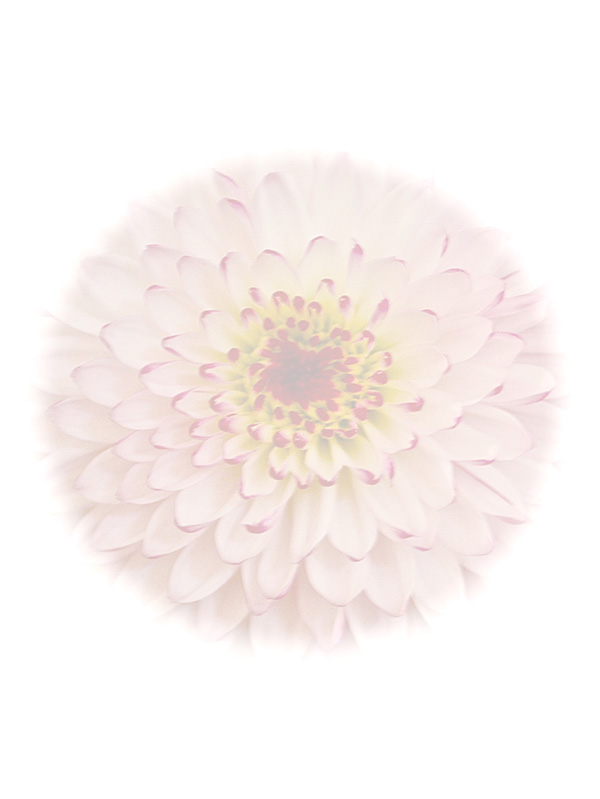 Law of Attraction Card - Image 3