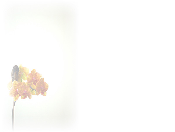 Law of Attraction Card - Image 3
