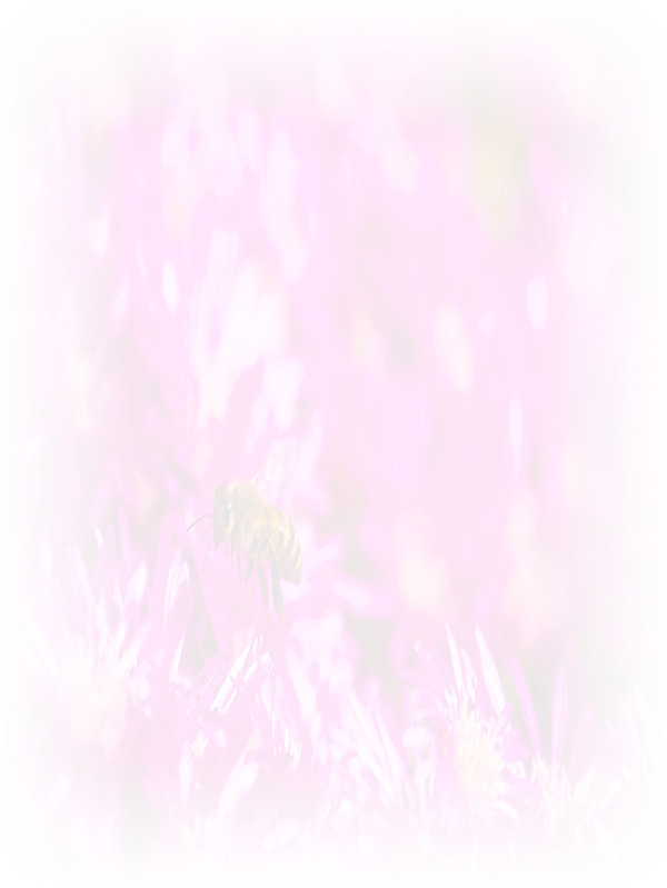 Law of Attraction Card - Image 3