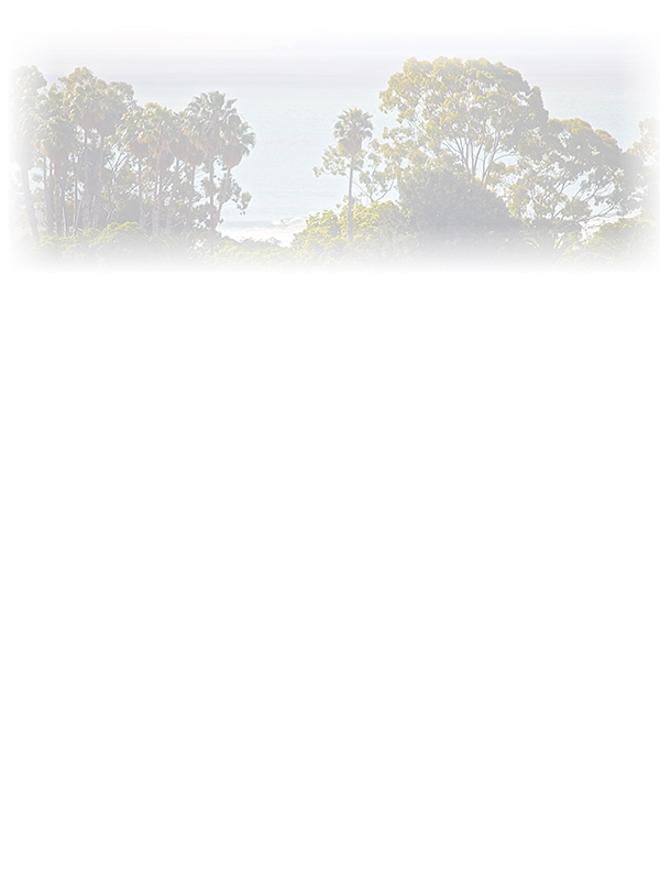 Law of Attraction Card - Image 3