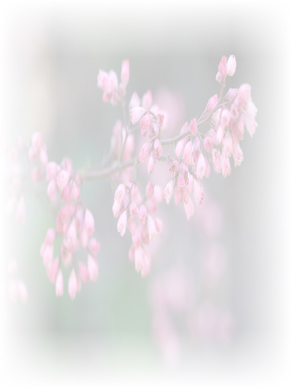 Law of Attraction Card - Image 3