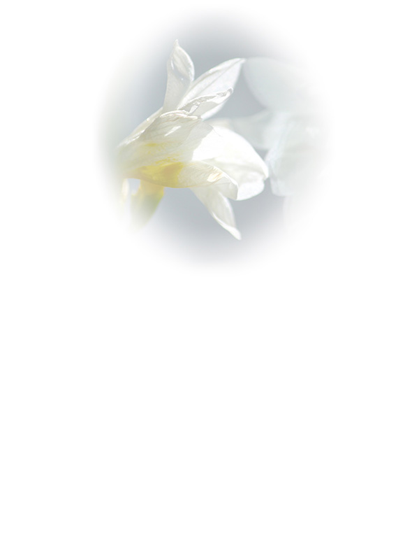 Law of Attraction Card - Image 3