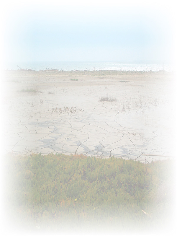 Law of Attraction Card - Image 3