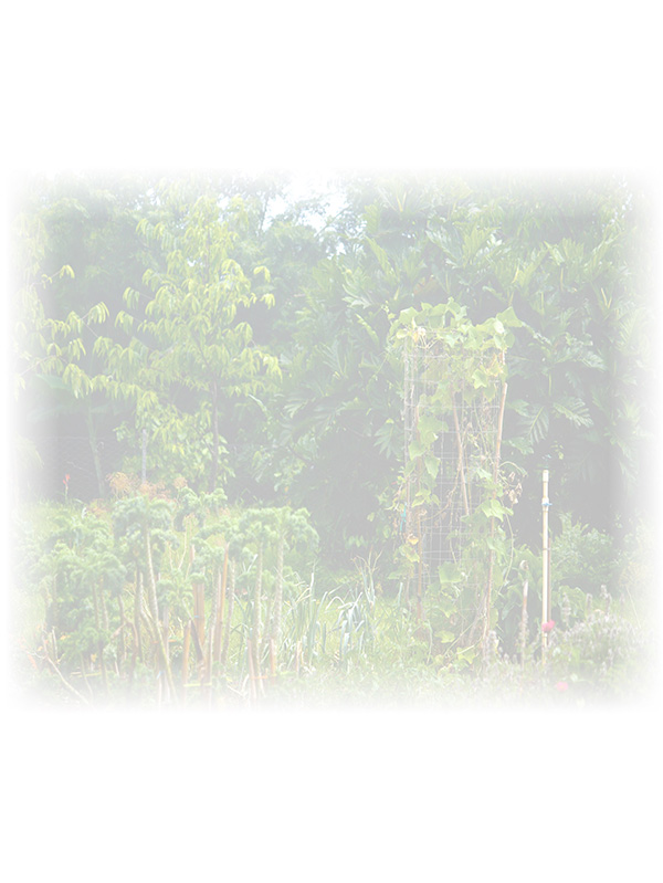 Law of Attraction Card - Image 3