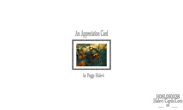 Law of Attraction Card - Image 2