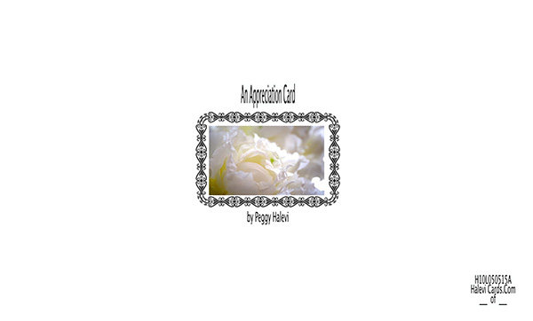 Law of Attraction Card - Image 2