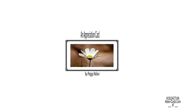 Law of Attraction Card - Image 2