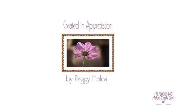 Law of Attraction Card - Image 2