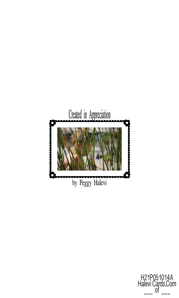 Law of Attraction Card - Image 2