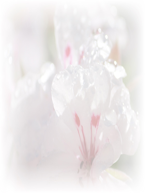 Law of Attraction Card - Image 3
