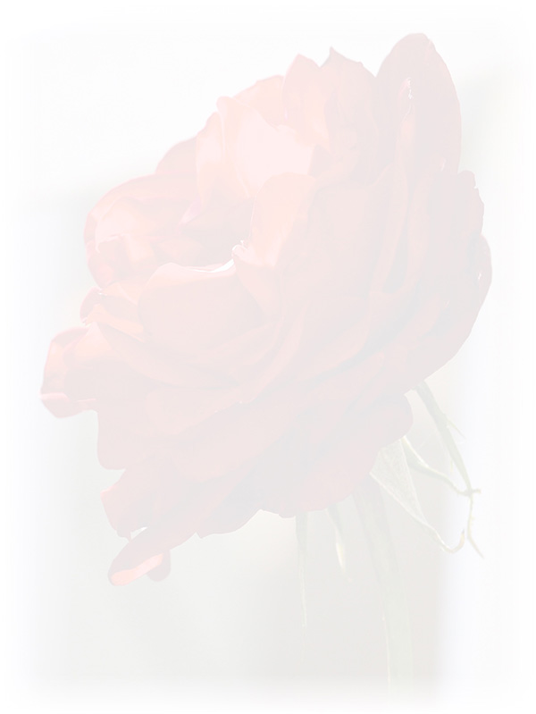 Law of Attraction Card - Image 3