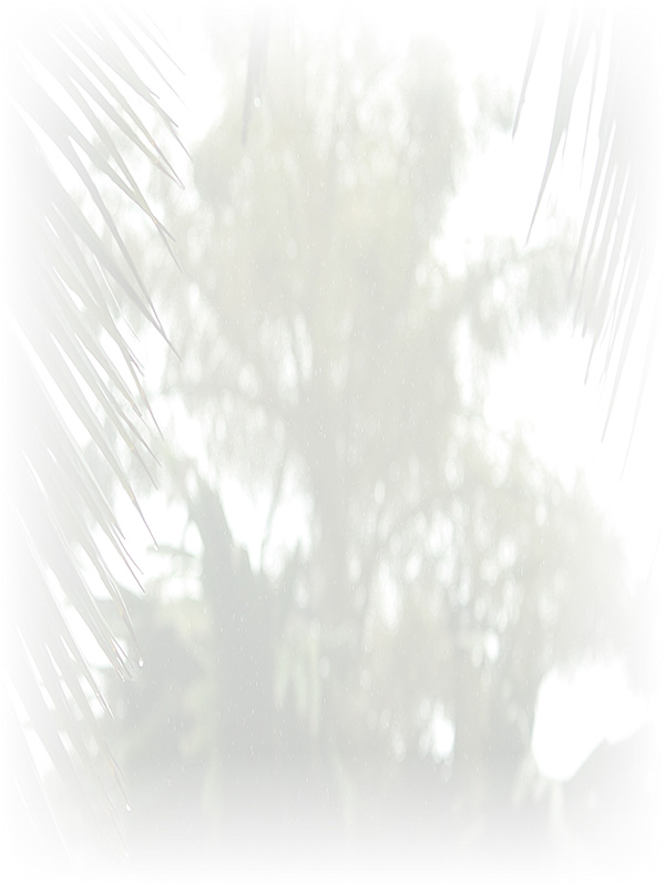Law of Attraction Card - Image 3
