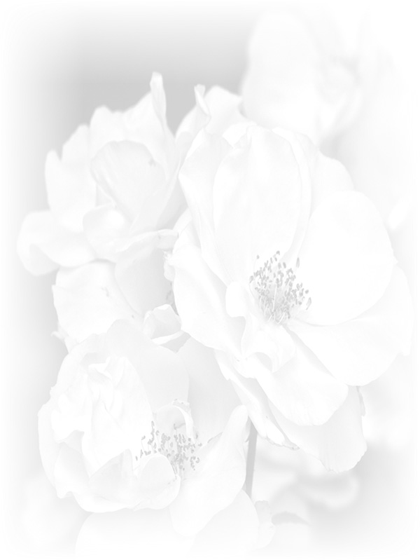 Law of Attraction Card - Image 3