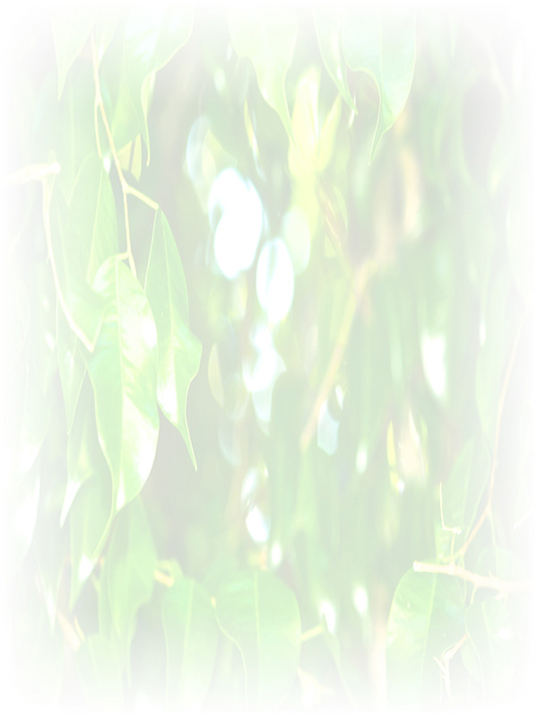 Law of Attraction Card - Image 3
