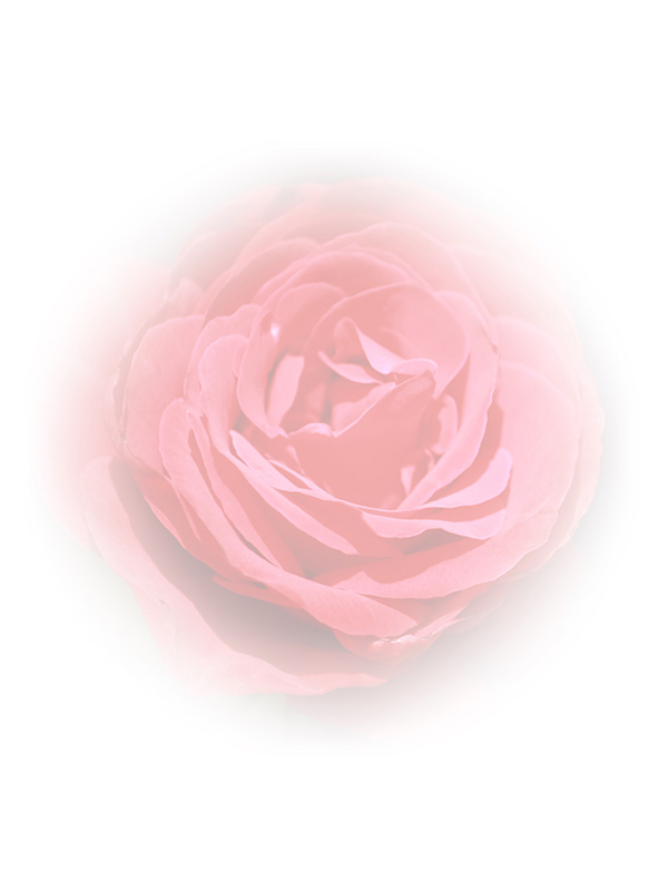 Law of Attraction Card - Image 3