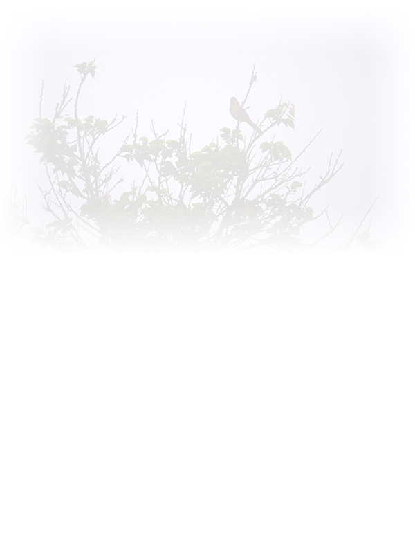 Law of Attraction Card - Image 3