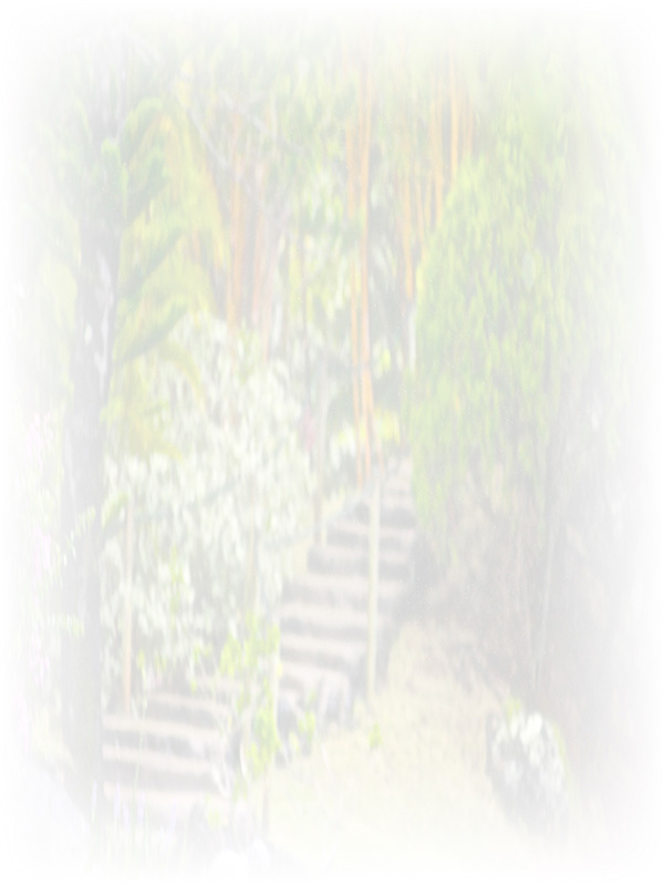Law of Attraction Card - Image 3