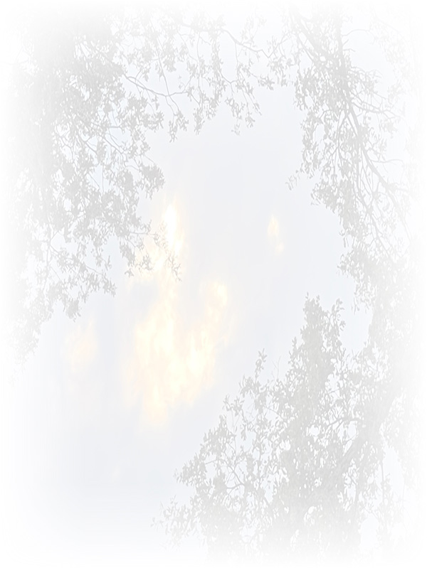 Law of Attraction Card - Image 3