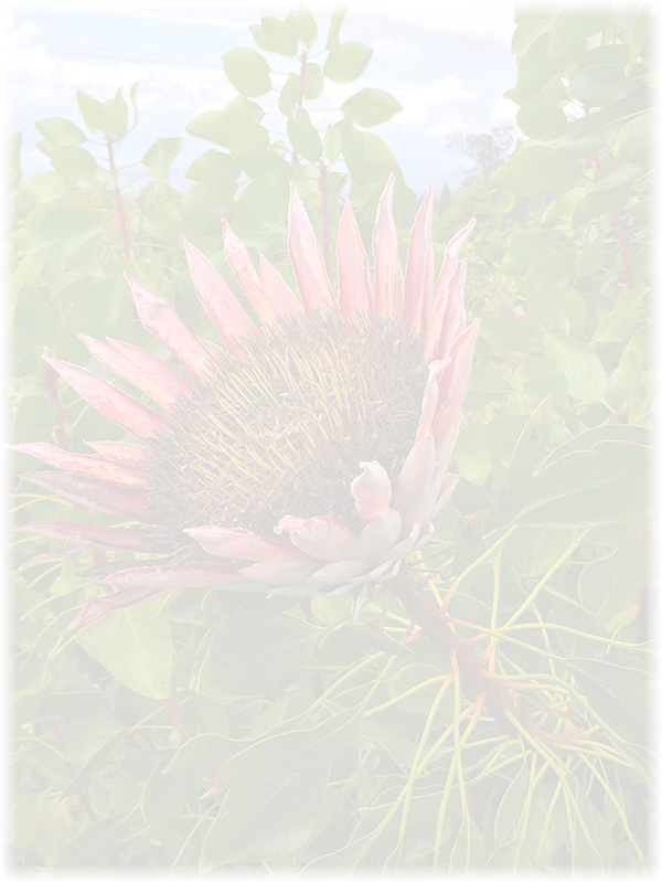 Law of Attraction Card - Image 3