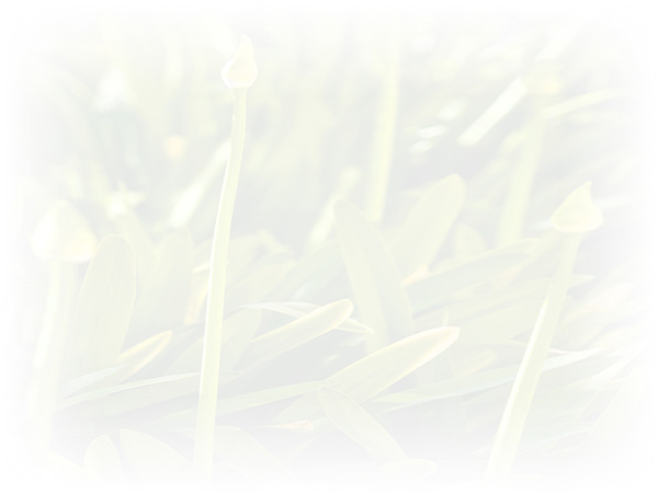 Law of Attraction Card - Image 3