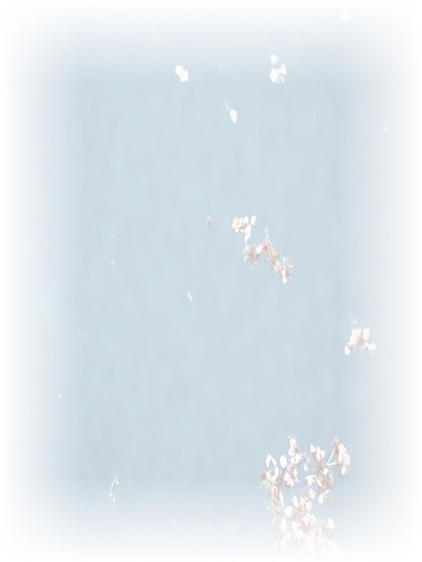 Law of Attraction Card - Image 3