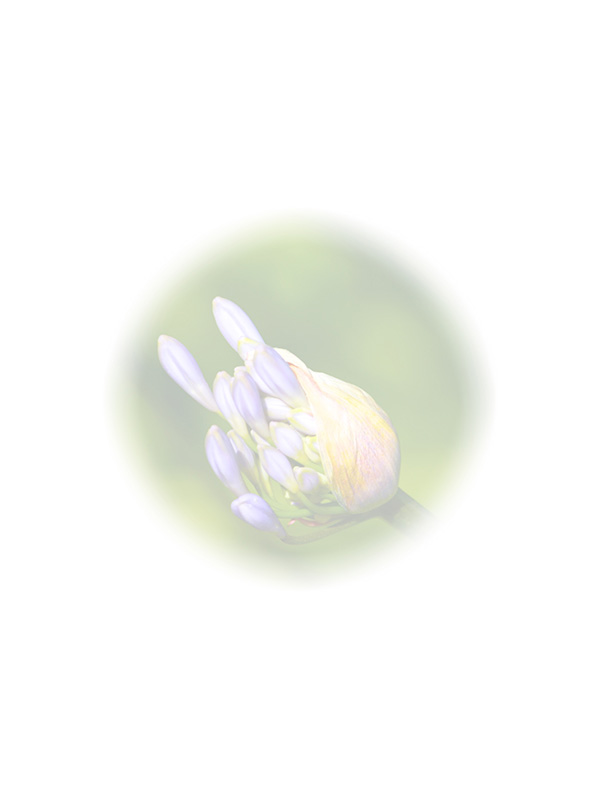 Law of Attraction Card - Image 3