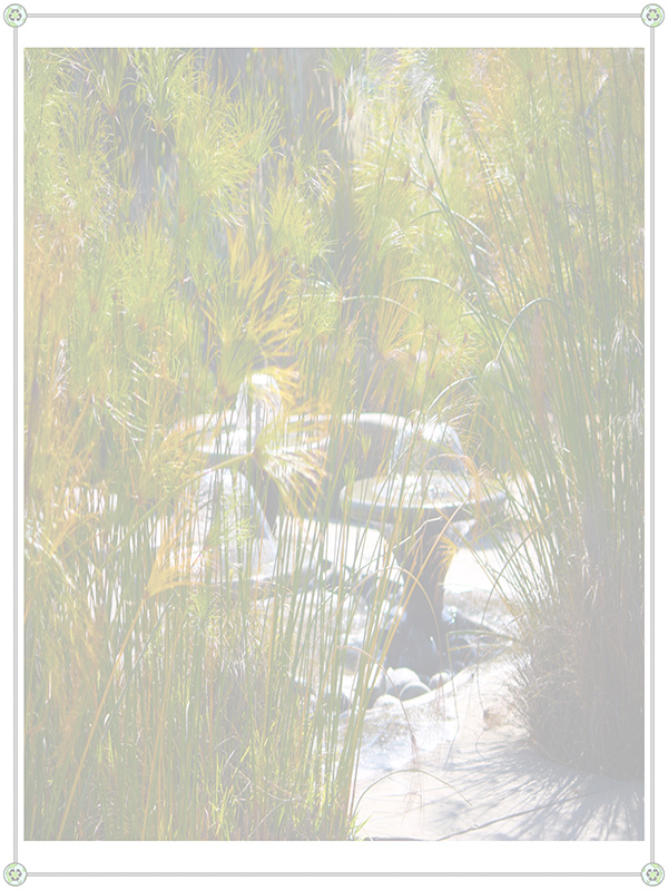 Law of Attraction Card - Image 3
