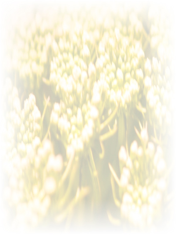 Law of Attraction Card - Image 3